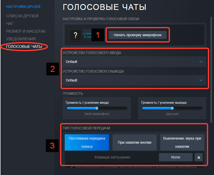 Проверь голосовой. Настройка микрофона в стим. Steam голосовой чат. Steam настройка микрофона. Настройки стим.