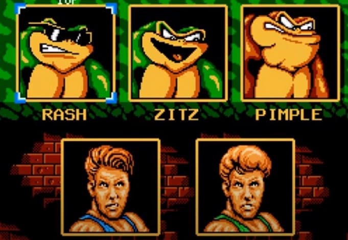 Battletoads and double dragon